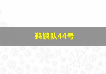 鹈鹕队44号