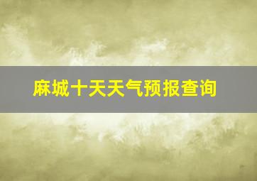 麻城十天天气预报查询