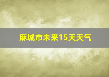 麻城市未来15天天气