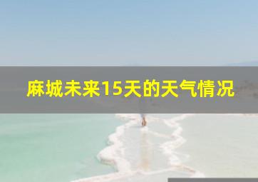 麻城未来15天的天气情况