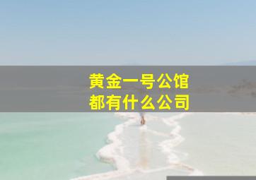 黄金一号公馆都有什么公司