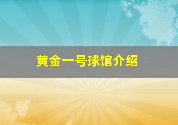 黄金一号球馆介绍