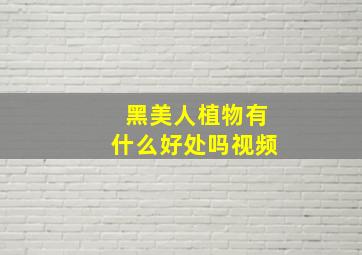 黑美人植物有什么好处吗视频