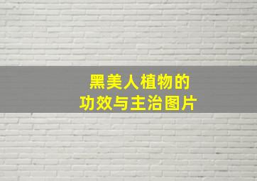 黑美人植物的功效与主治图片