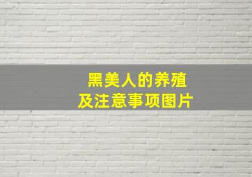 黑美人的养殖及注意事项图片