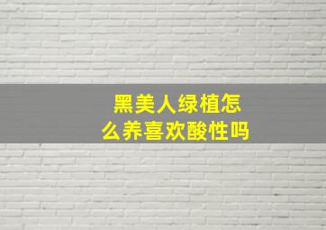 黑美人绿植怎么养喜欢酸性吗