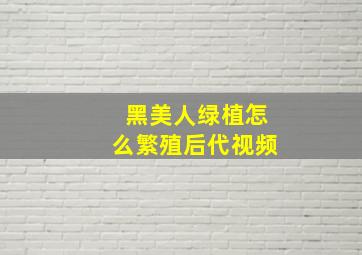 黑美人绿植怎么繁殖后代视频