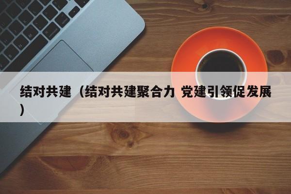 结对共建（结对共建聚合力 党建引领促发展）