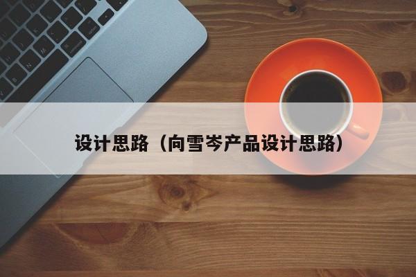 设计思路（向雪岑产品设计思路）