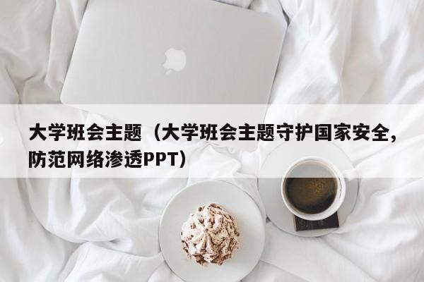 大学班会主题（大学班会主题守护国家安全,防范网络渗透PPT）